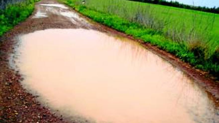 Los agricultores exigen que el camino Lobón se acondicione