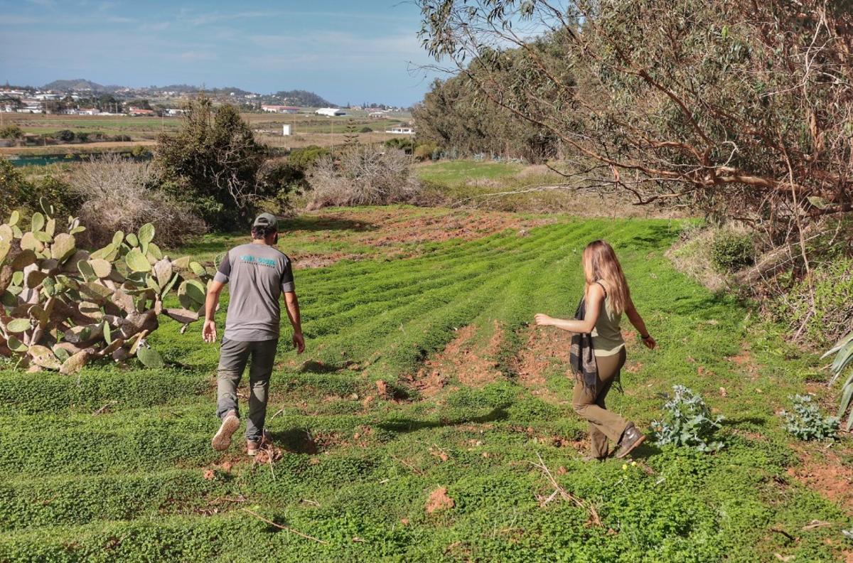 Dos jóvenes en una de las parcelas incluidas en el banco de tierras, en La Laguna.