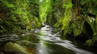 Tesoros naturales de Gran Bretaña: déjate seducir por sus rincones más desconocidos