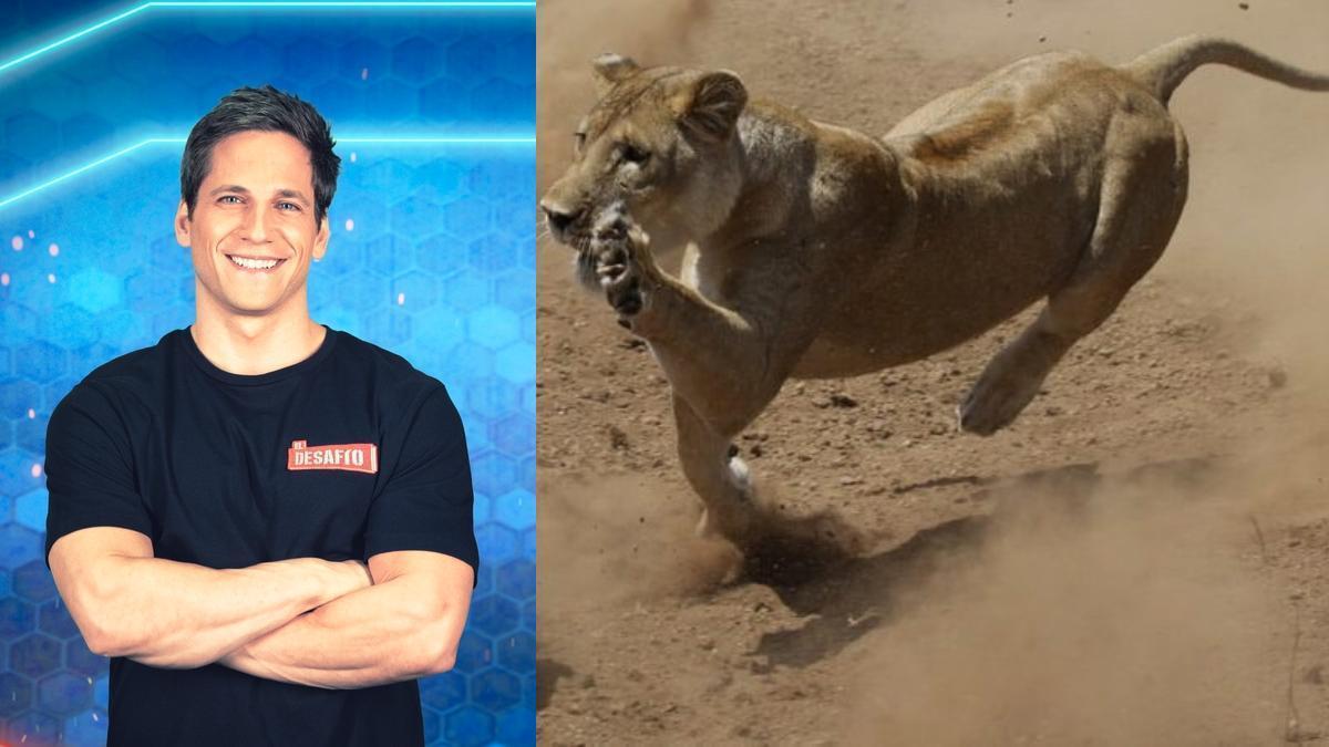 Gotzon en una foto promocional de 'El Desafío' / Animales salvajes.