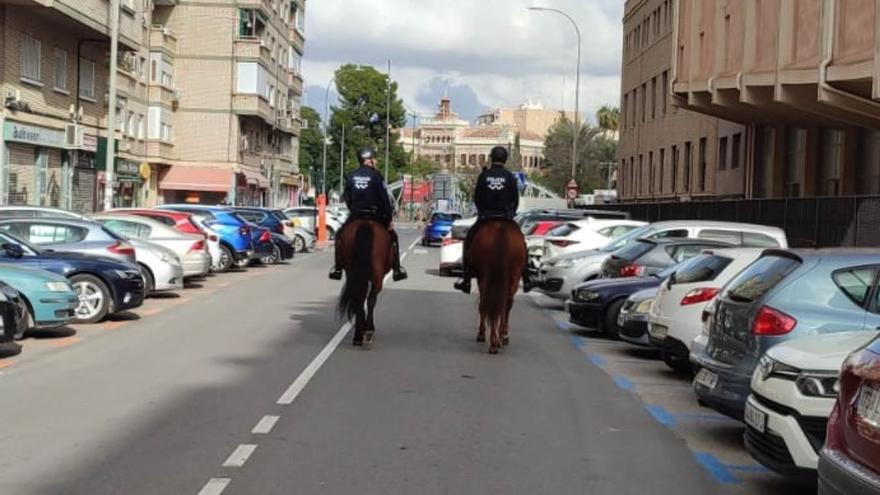 La Justicia tumba la Unidad de Caballería de la Policía Local de Murcia