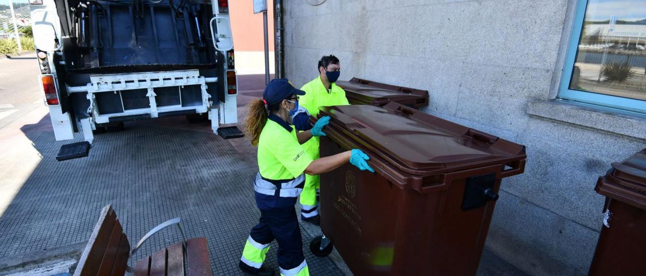 Recogida de basura del contenedor marrón en Pontevedra, en 2020. |  // GUSTAVO SANTOS