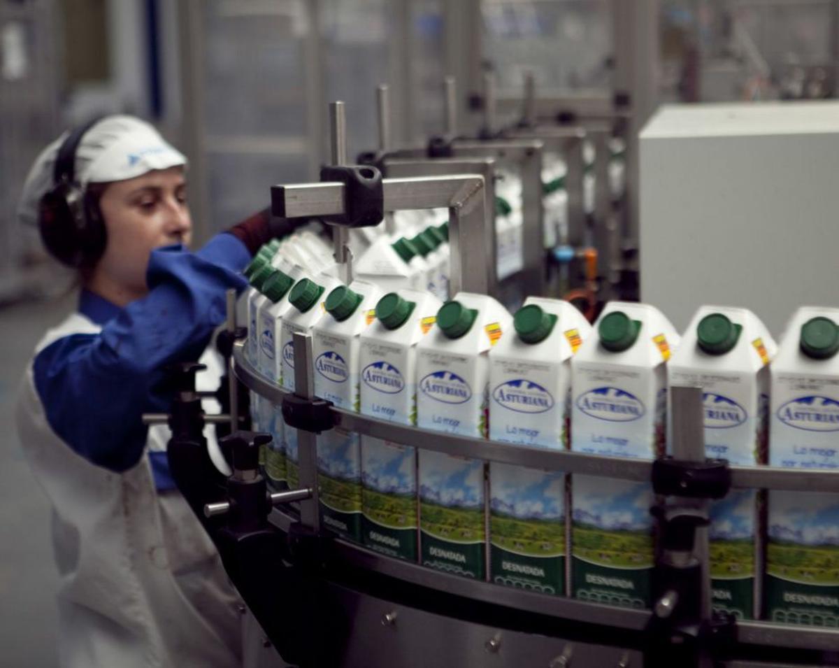 Planta de Central Lechera Asturiana, con sede en Granda (Siero). | MIKI LÓPEZ