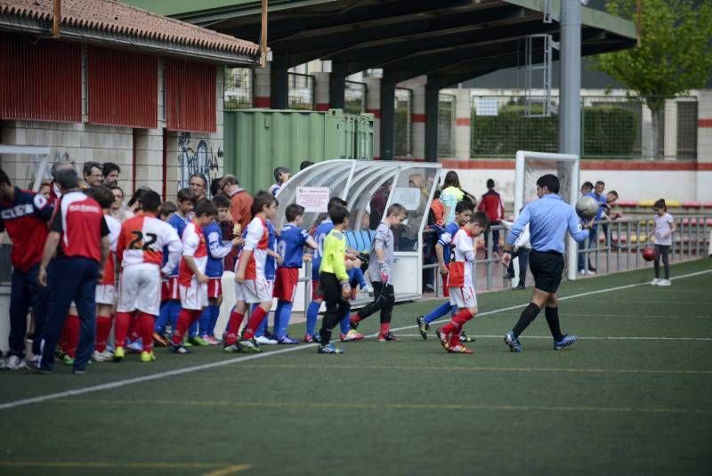 FÚTBOL: Hernán Cortés - San Gregorio (1ª Alevín grupo 2)