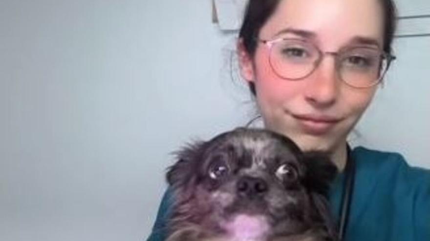 El perro doctor de Torrent que triunfa en Tik Tok