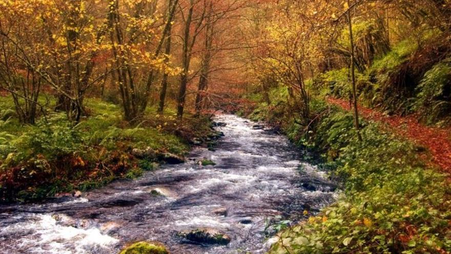 Veurem canvis en la naturalesa