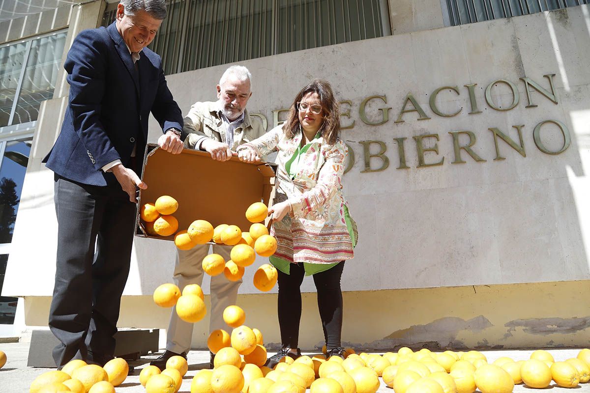 Reparto de naranjas reivindicativo de las organizaciones agrarias cordobesas