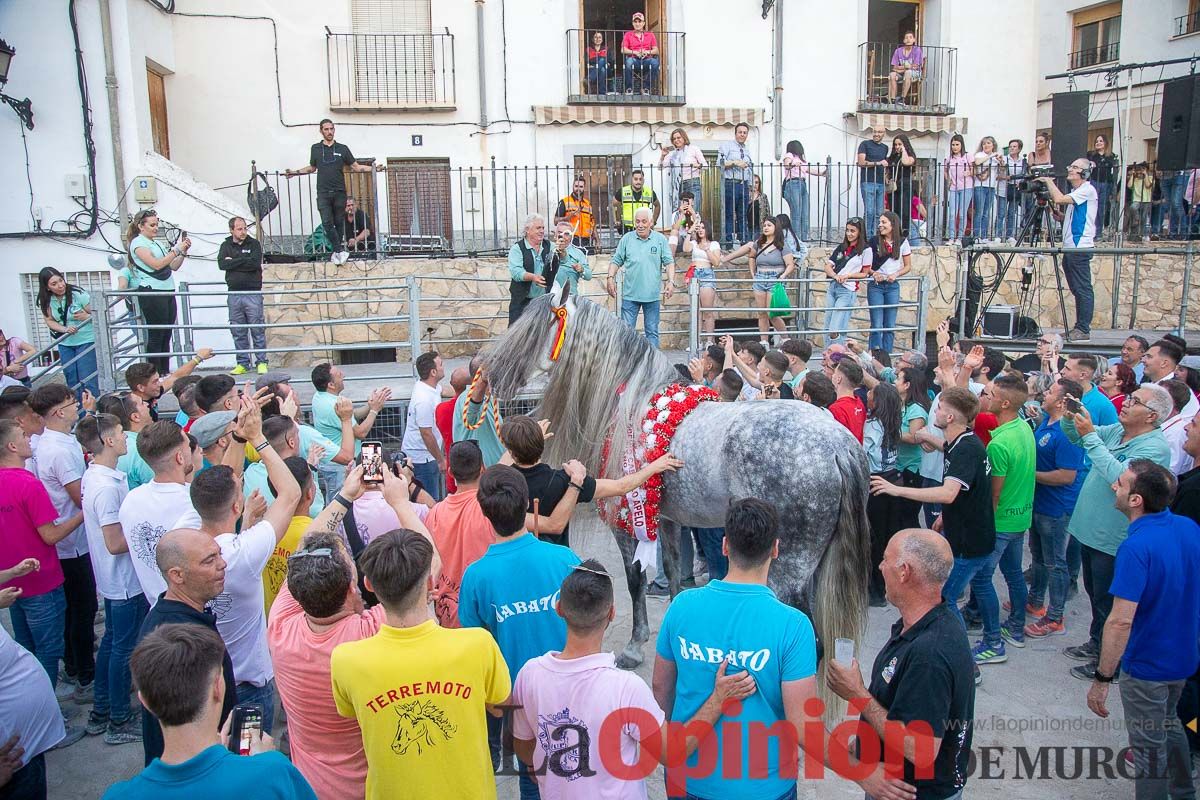 Entrega de premios del concurso morfológico de los Caballos del Vino de Caravaca