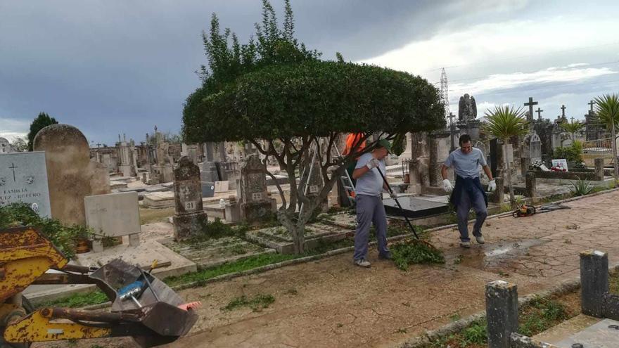 Herido un trabajador tras caerse a una tumba del cementerio de Llucmajor