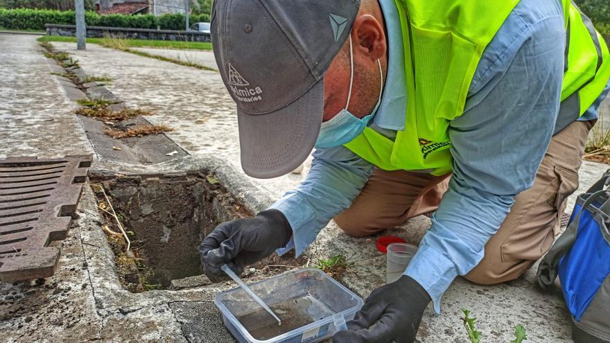 Lokímica prioriza la eficiencia y el respeto por el medio ambiente en sus intervenciones