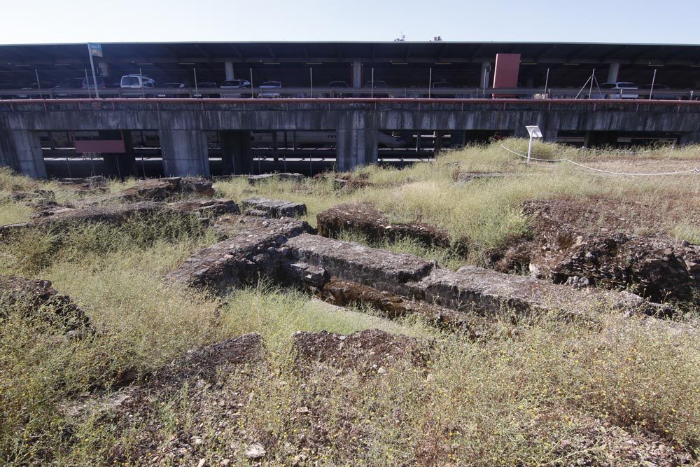 Urbanismo y Sadeco inician la limpieza del yacimiento de Cercadilla