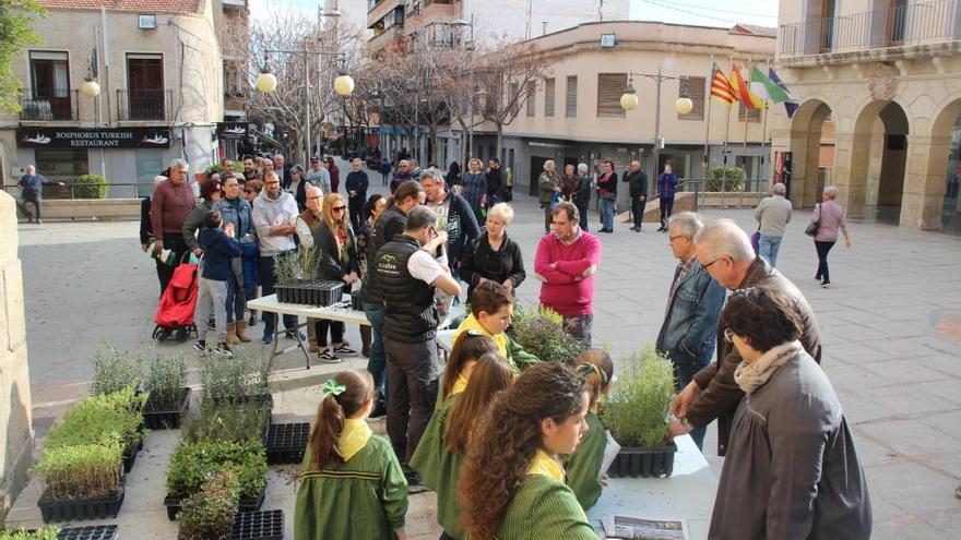 Los sanvicenteros recogen un millar de plantones para celebrar el Día del Árbol