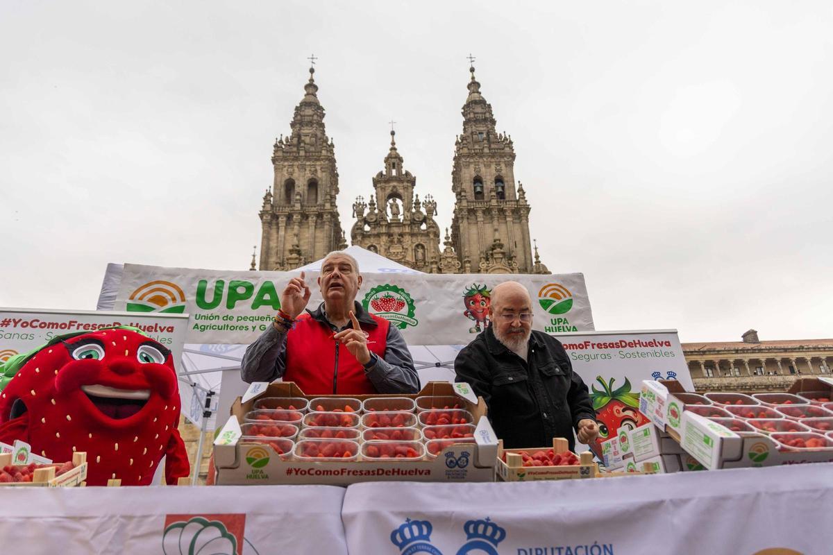 Reparten fresas de Huelva en la plaza del Obradoiro para promover su "calidad y garantía"