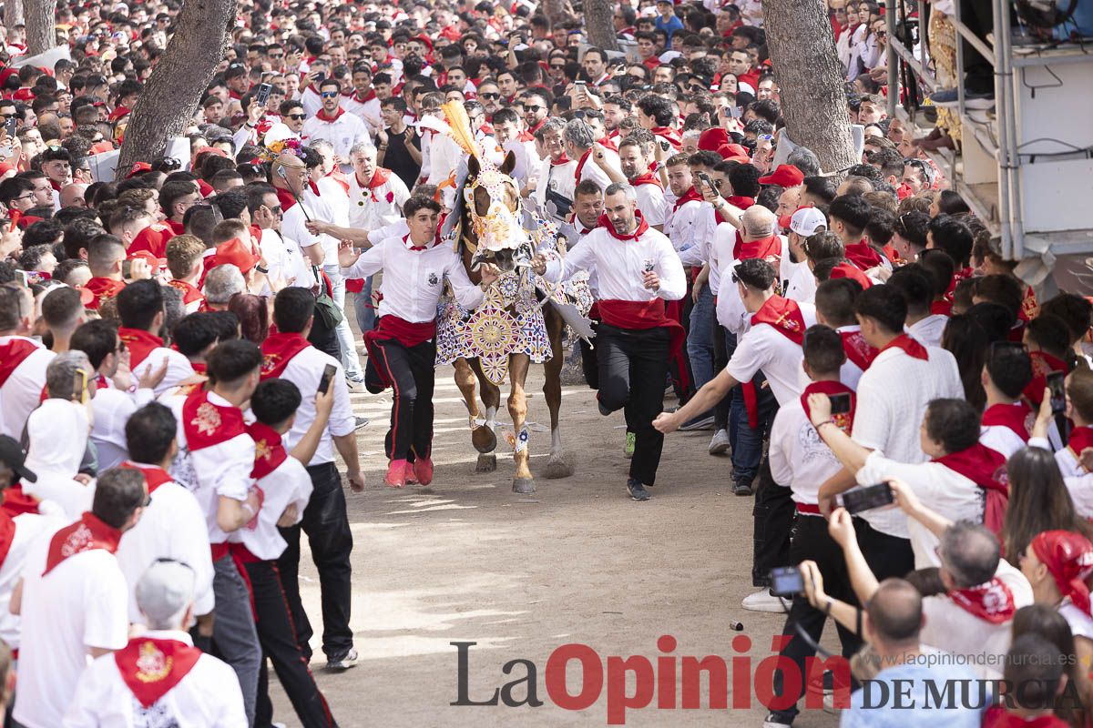 Así se ha vivido la carrera de Los Caballos del Vino en Caravaca