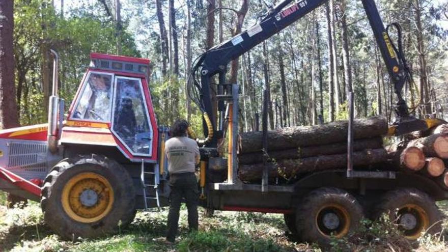 El tractor que realiza la tala que causó importantes daños en dos mámoas de Monte Penide.  // Faro