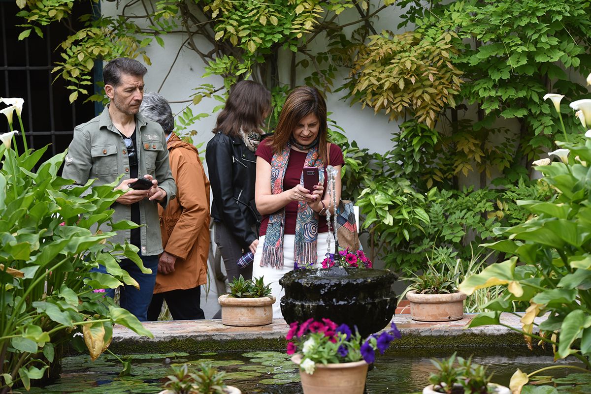 Jornada de puertas abiertas en los patios del Palacio de Viana