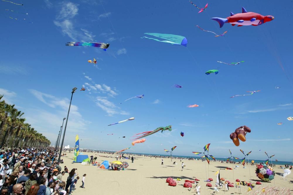 Festival del Viento 2016 en la Malva-rosa