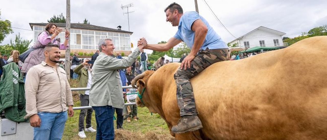 Alfonso Rueda, ayer, en el feria de ganado de Cervantes (Lugo). | // FDV