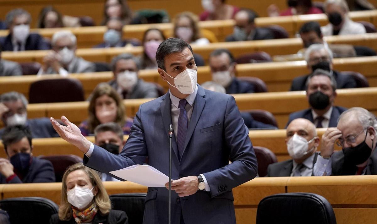 Pedro Sánchez, en el Senado.