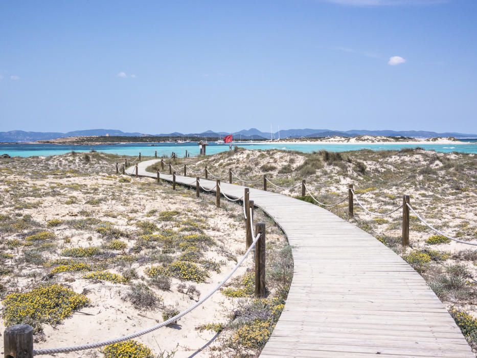 Playa de Ses Illetes, Parque Natural de Ses Salines (Formentera)