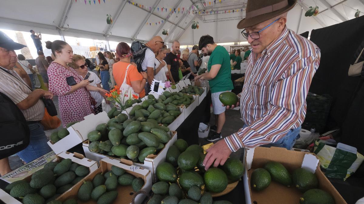 Feria del Aguacate de Mogán, en Arguineguín, el año pasado.