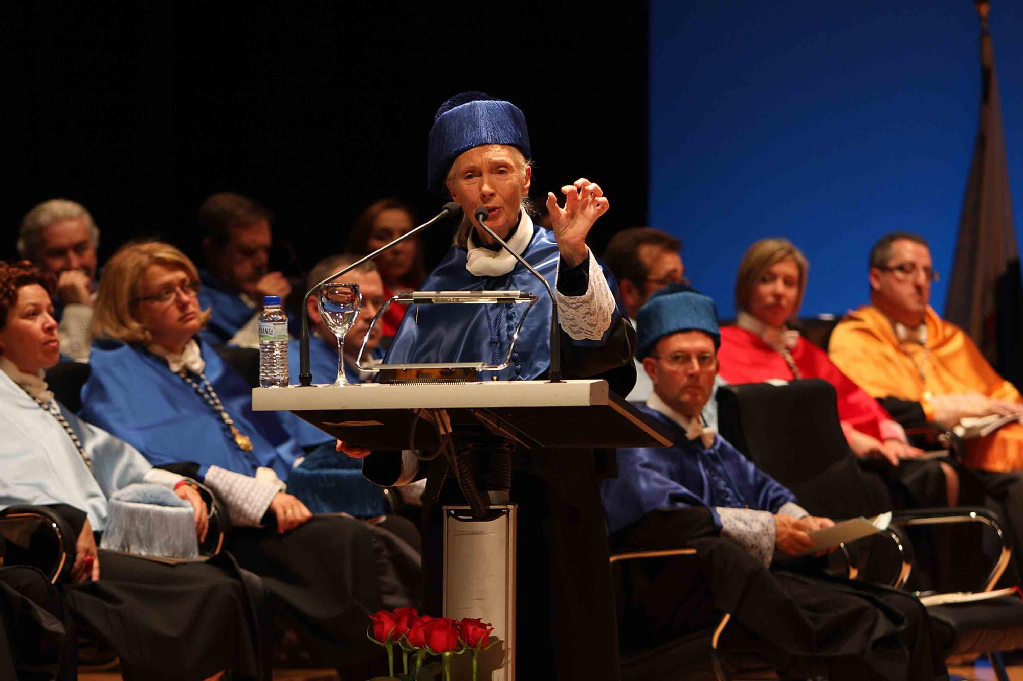 Fallece Jane Goodall, madrina de Primadomus y ‘honoris causa’ por la Universidad de Alicante