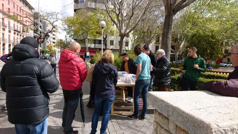 Referéndum monarquía o república en Palma