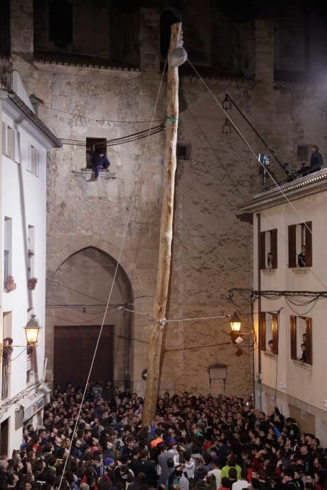 Sant Antoni 2018: Als die Kiefer in Pollença brach