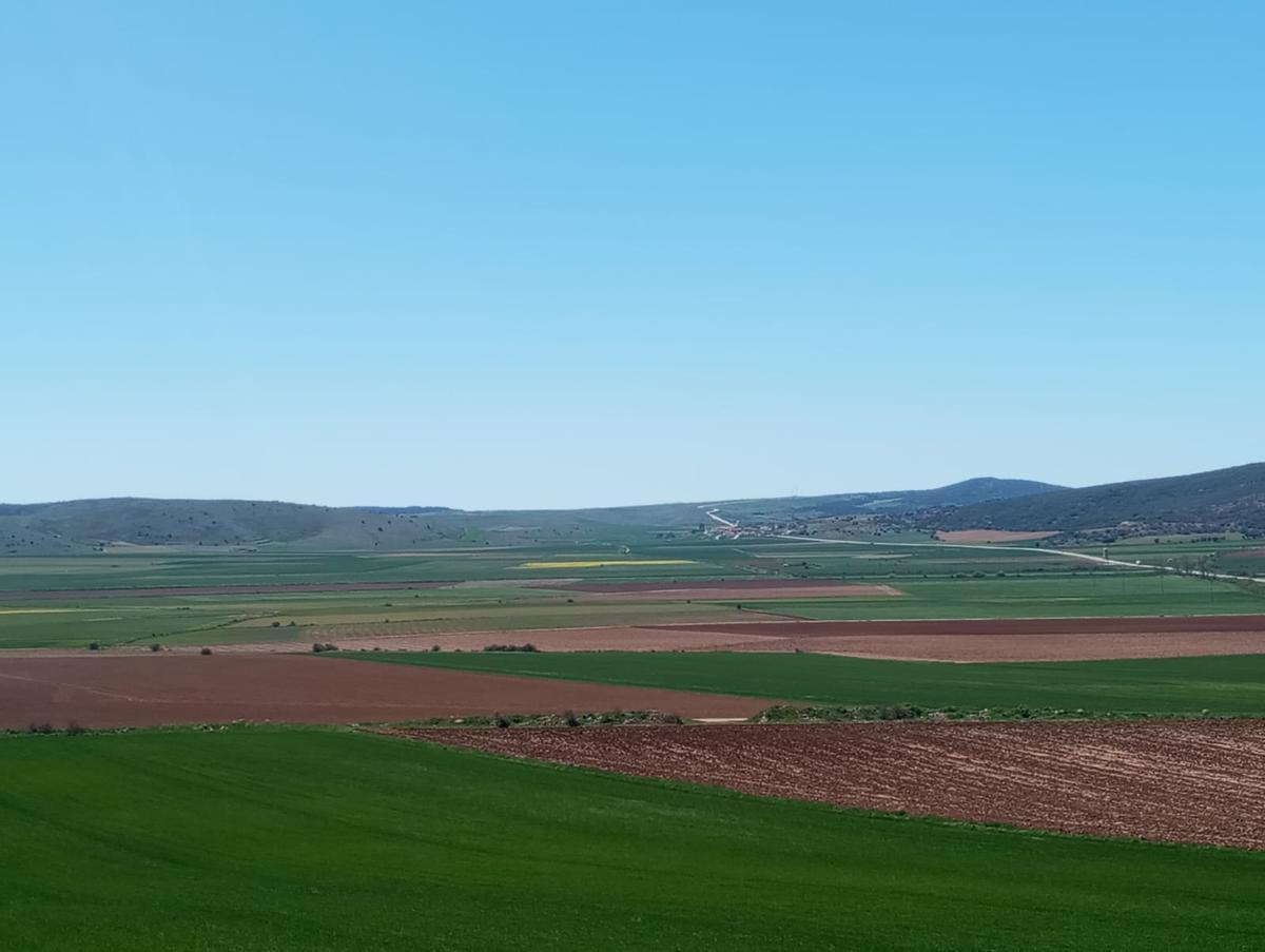 Imagen de los terrenos agrícolas que rodean Villar del Campo donde se hubiera instalado el parque de placas solares.