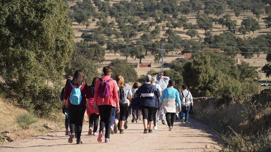 El grupo camina entre la dehesa.