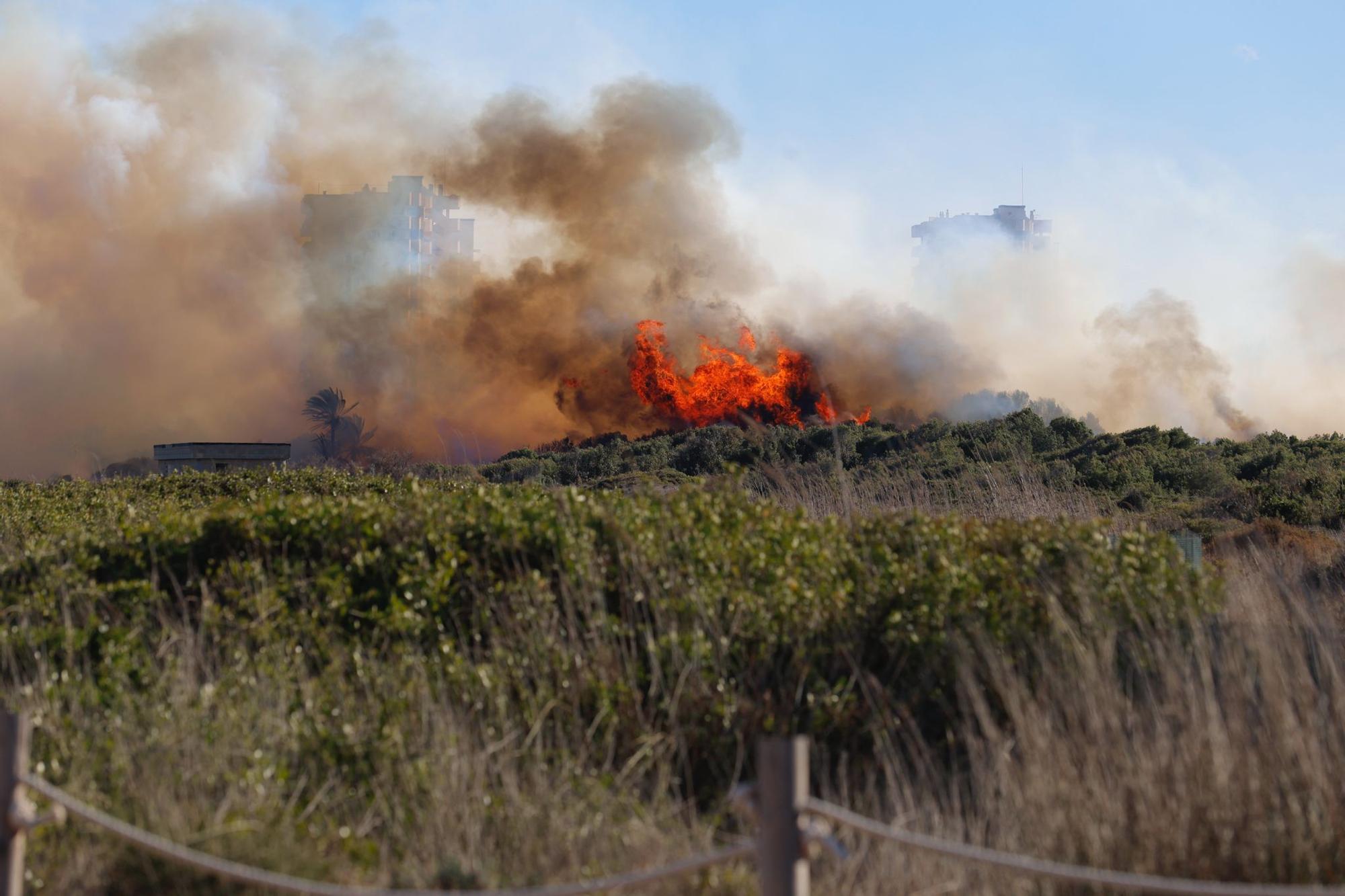 Declarado un incendio en el Saler