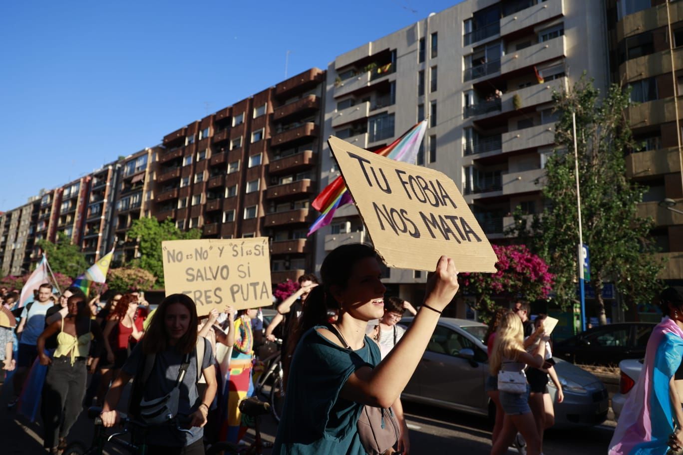 Así ha sido la manifestación del Orgull Crític en València