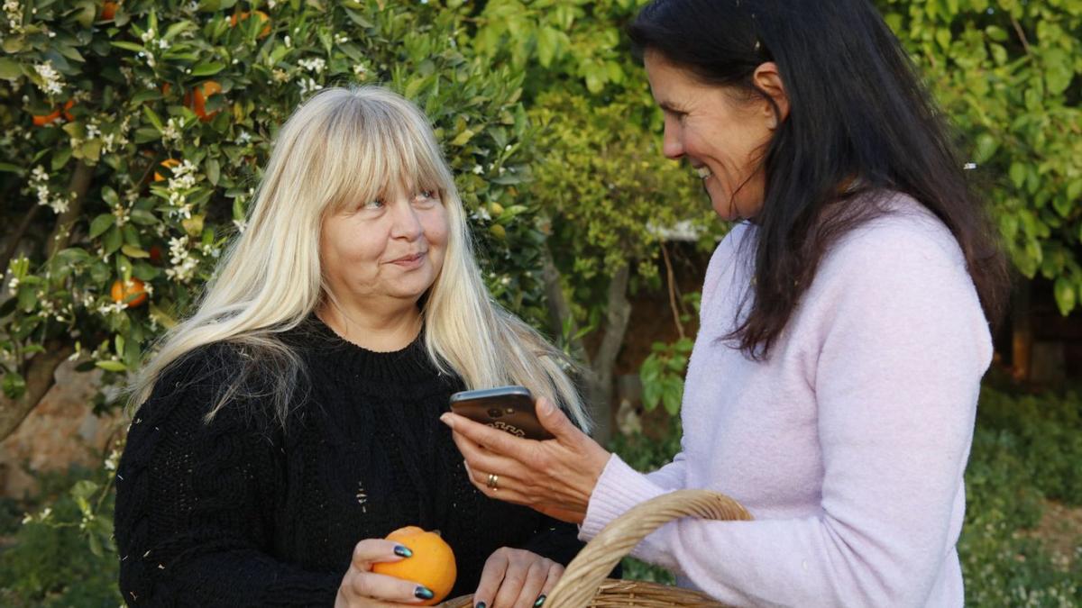 Verständigung per Handy-App bei der Orangenernte: Alla Perenesii (li.) und Ali von Moltke.  | FOTO: NELE BENDGENS