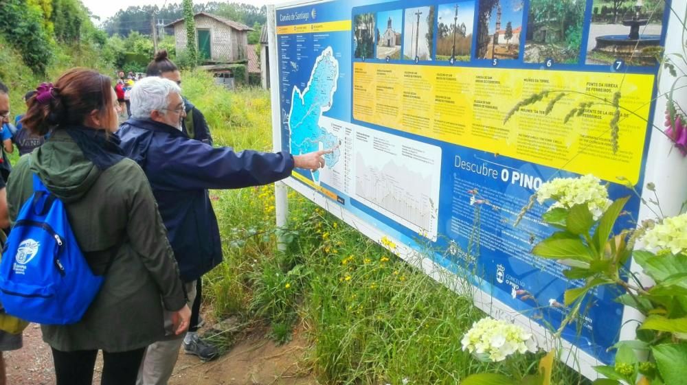 Un Camino de Santiago 'eco' sin 'basuraleza'