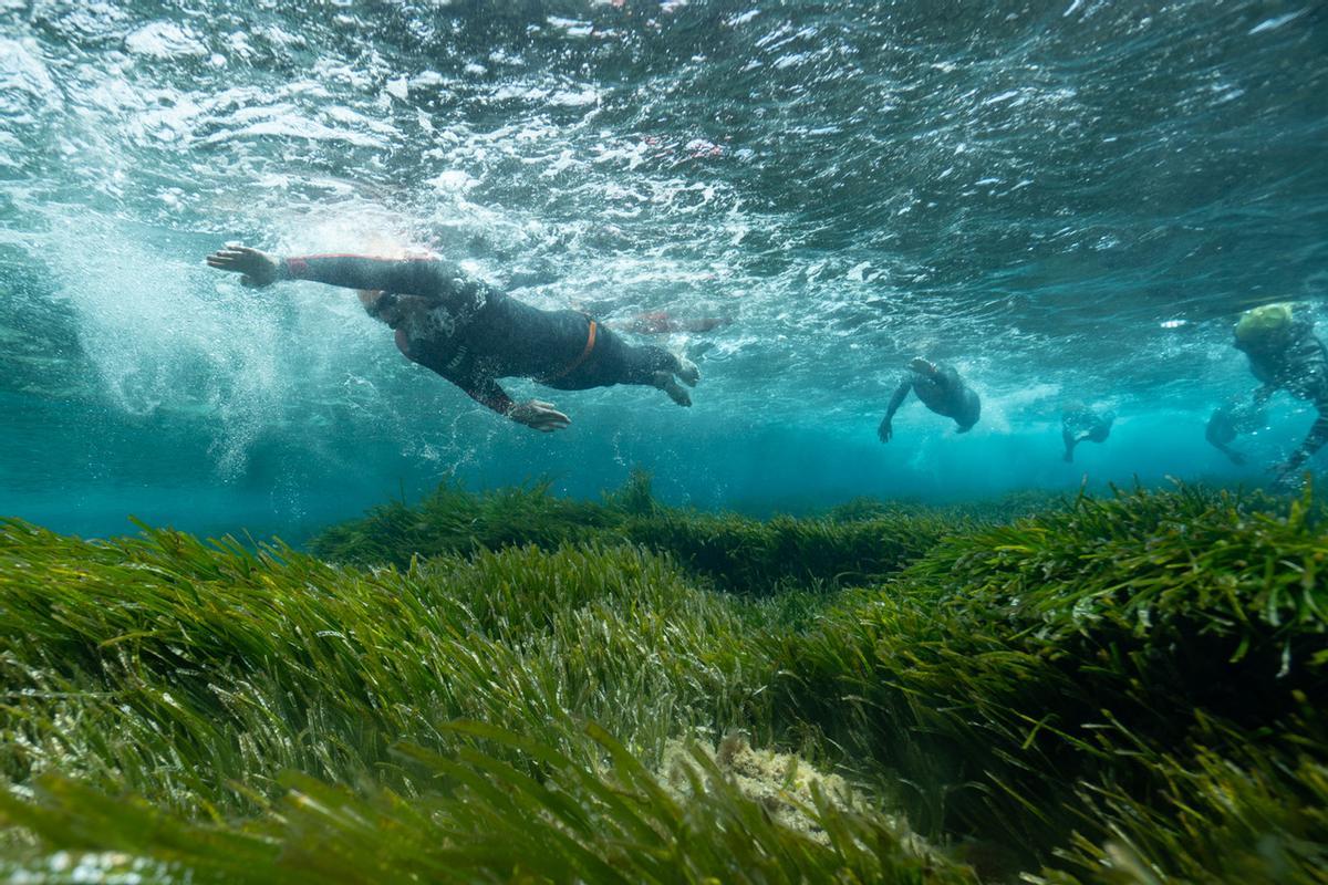 Más de 500 nadadores participan en la Marnaton eDreams Formentera by Baleària