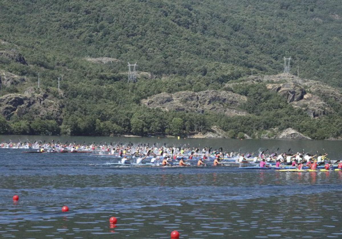 El piragüismo zamorano firma nueve victorias en las pruebas de la Regata de Sanabria 2026 | ALBA PRIETO