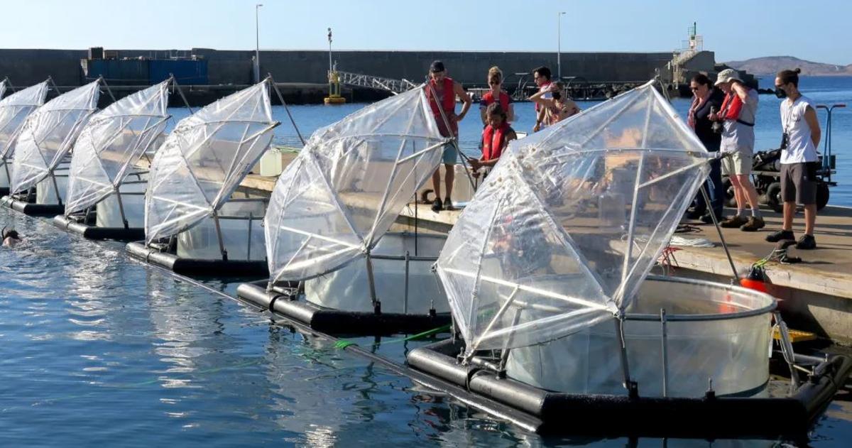 Canarias, sede un experimento para acelerar la captación de CO2 por el mar