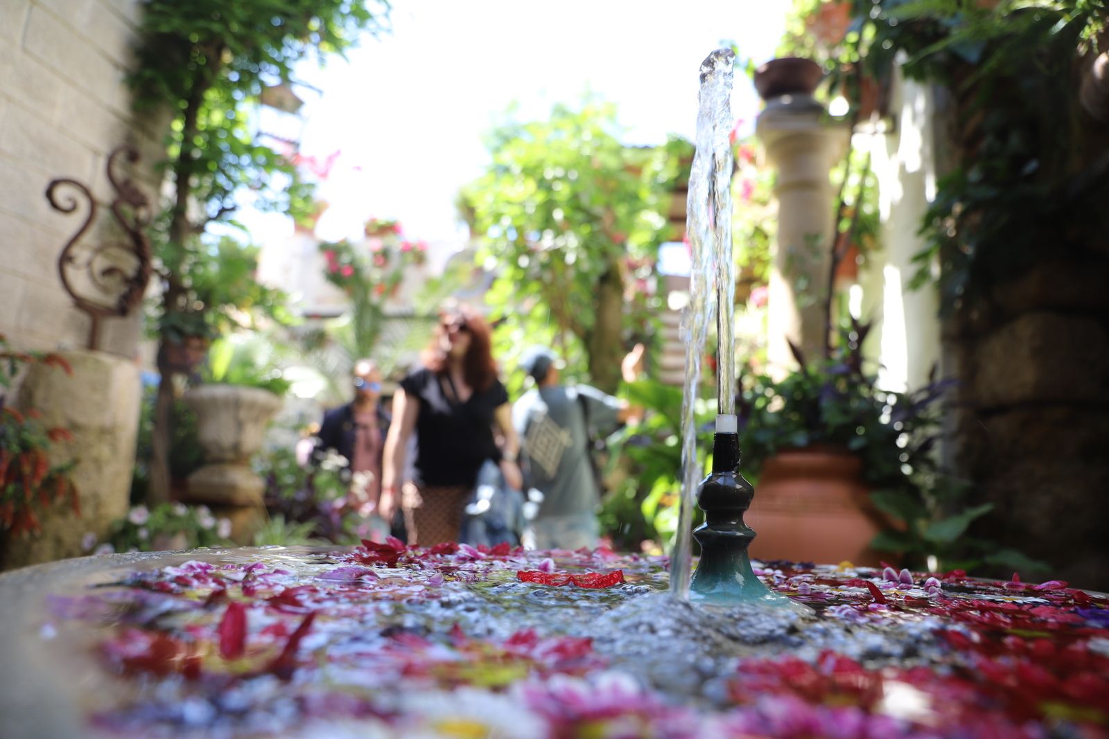 La Ruta 3 de los Patios de Córdoba, en imágenes
