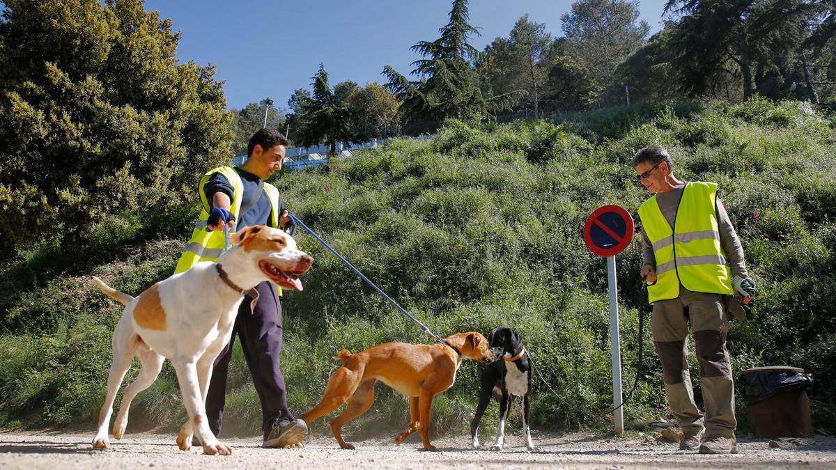 Unos voluntarios con unos perros en el Centro de Acogida de Animales de Compañía de Barcelona (CAACB), en una imagen de archivo.