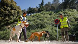 Unos voluntarios con unos perros en el Centro de Acogida de Animales de Compañía de Barcelona (CAACB), en una imagen de archivo.