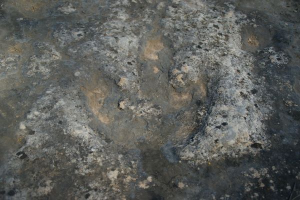 Yacimiento de la rambla de Tambuc en Millares. Una de las 400 pisadas que se pueden ver en la zona