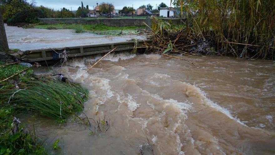 El temporal inunda las huertas de la Ribera de Cáceres y los hortelanos claman por la limpieza de cauces