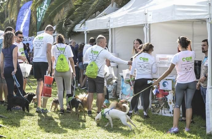 16/12/2018 LAS PALMAS DE GRAN CANARIA. Carrera ...