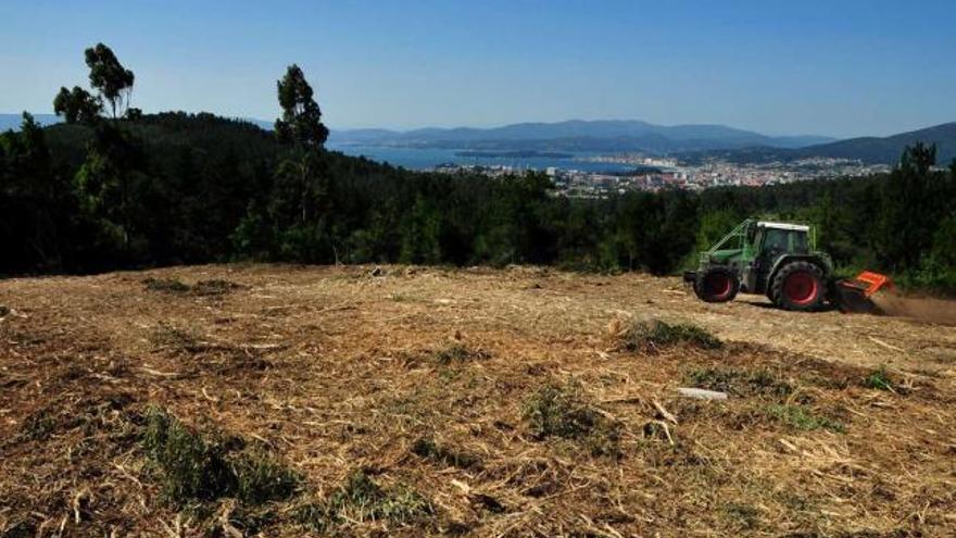 Un tractor trabaja en la limpieza de Monte Lobeira, en András, Vilanova de Arousa.  // Iñaki Abella