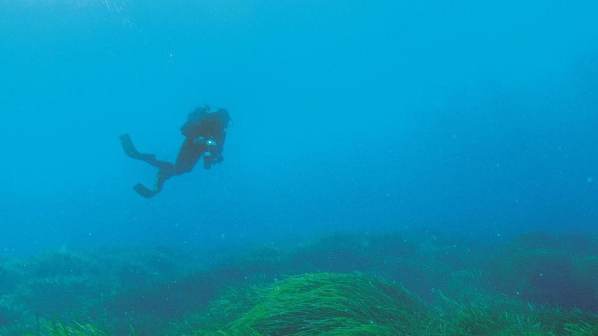 Las actividades subacúaticas en la isla se promocionarán en Barcelona.