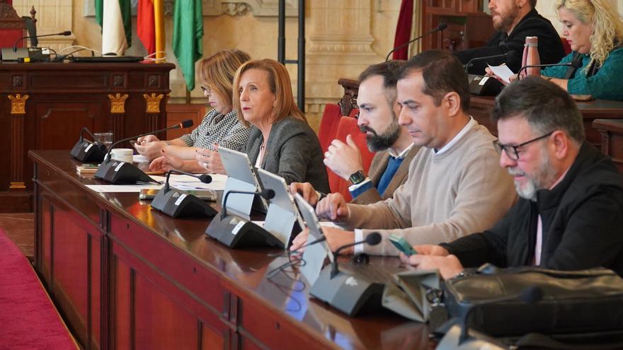 Begoña Medina, viceportavoz socialista en el Ayuntamiento de Málaga.