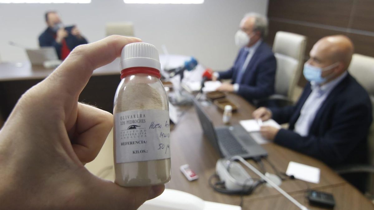 El 'oliplast' es un bioplástico que se hace a partir del hueso de la aceituna. El 'oliplast' es un bioplástico que se hace a partir del hueso de la aceituna.