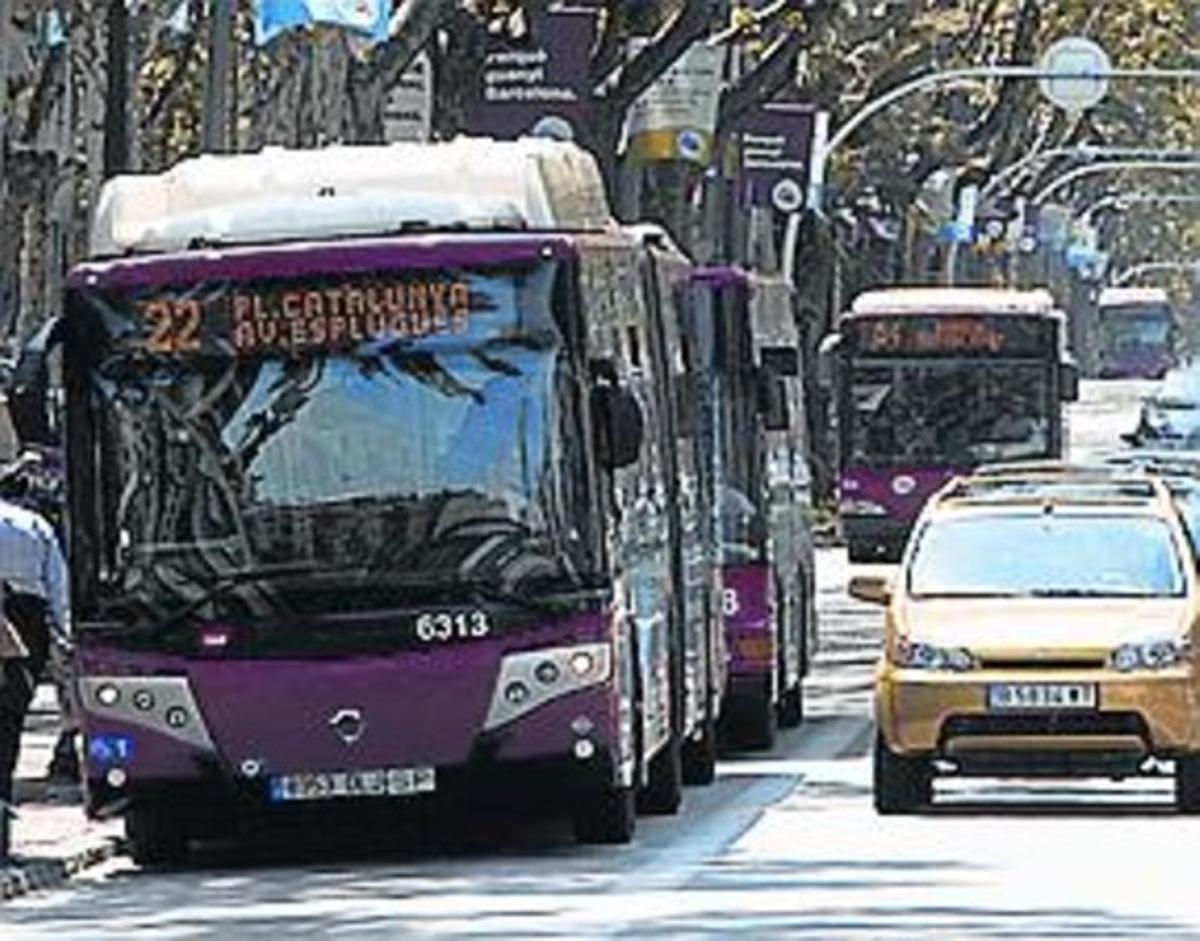 La bici vol segregació Seguretat viària en laire Tramvia i bus més ample_MEDIA_1