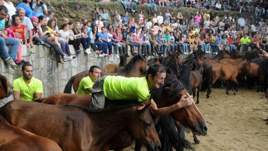 Rapa das Bestas de Cuspedriños. // Faro