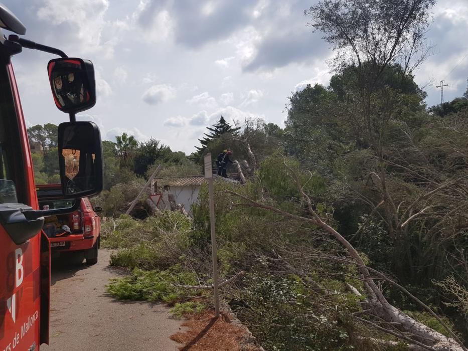 Trabajos en las zonas más afectadas por la tormenta en Baleares